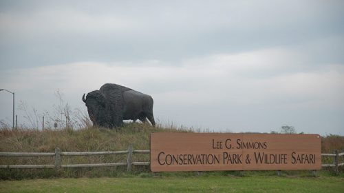 Lee G. Simmons Conservation Park and Wildlife Safari